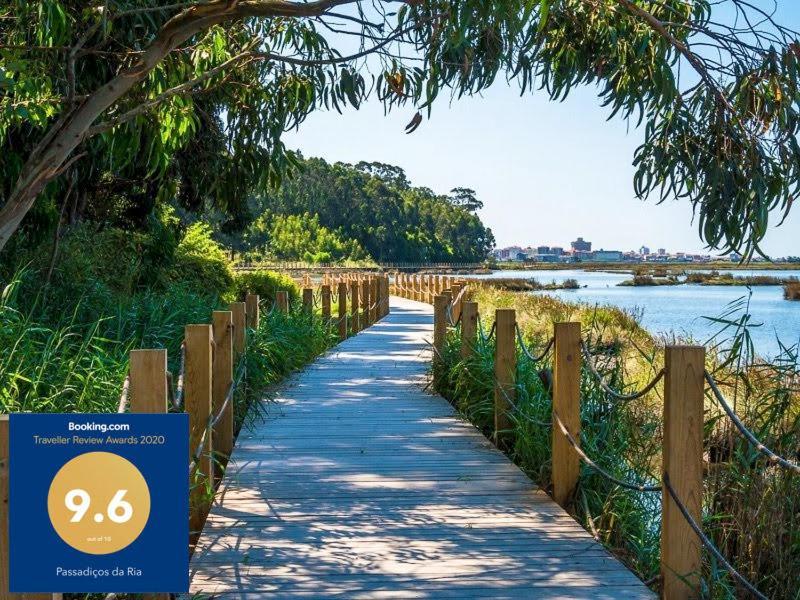 Passadicos Da Ria Διαμέρισμα Αβέιρο Εξωτερικό φωτογραφία